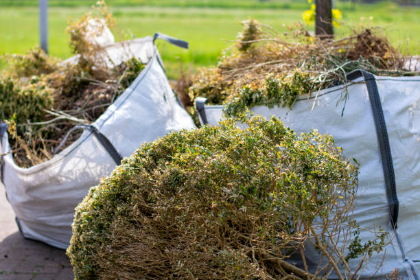 Best Local Junk Hauling  in Richnd, MO